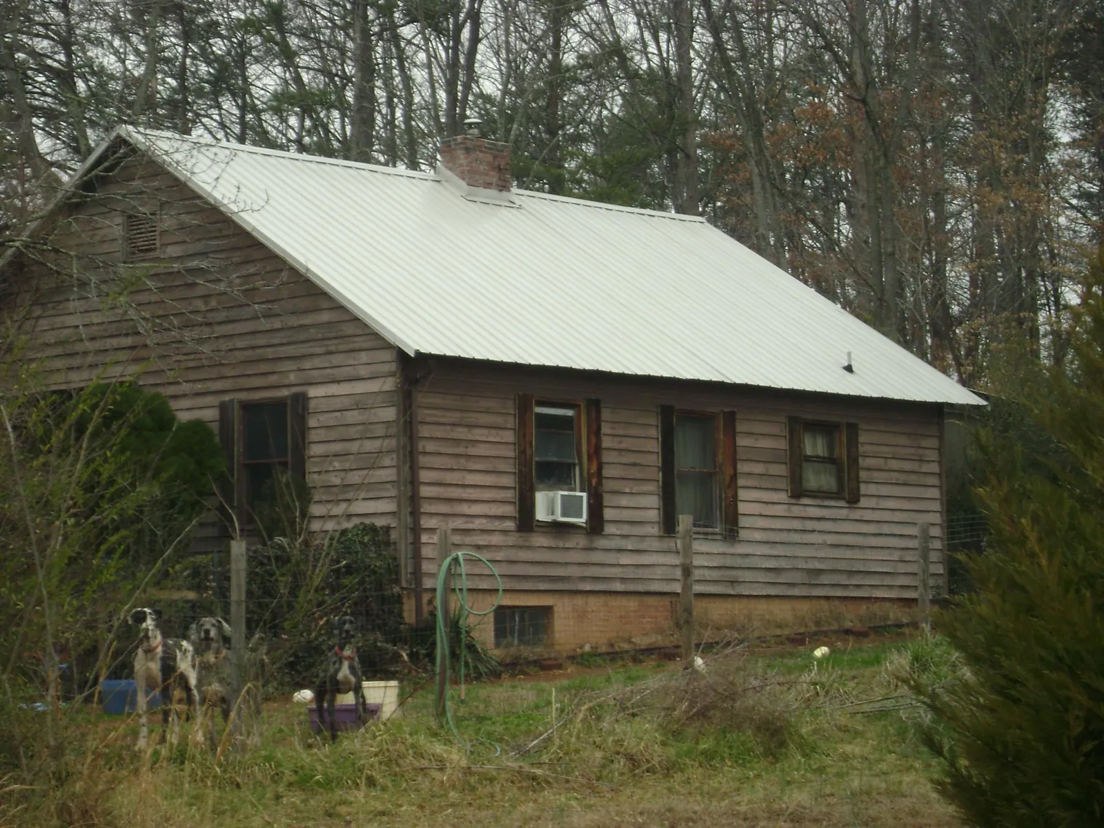 White metal roof on an old wood sided farmhouse, from a Asphalt Shingle Roof Repair job in Brewster